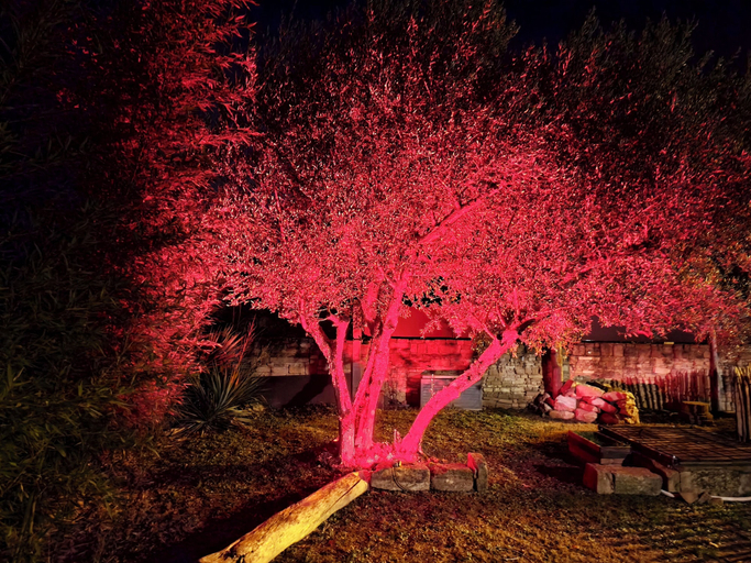 Garden, Mas de Castille Guest House, Gard