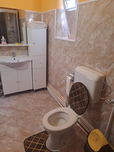Bathroom 3, Casa Dana, Hateg