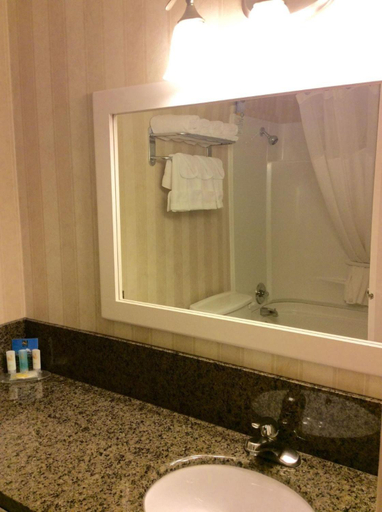 Bathroom 4, Quality Inn & Conference Centre, Division No. 8