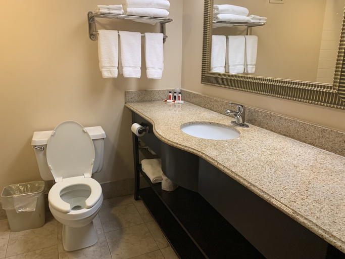 Bathroom 4, Comfort Inn & Suites, Hall