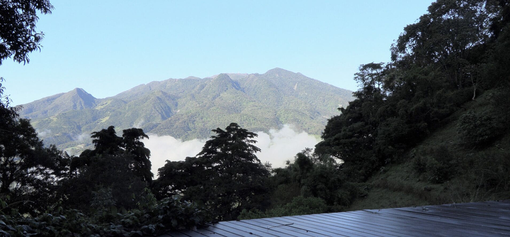 Exterior 3, Wild on the Farm, Boquete Cloud Forest Lodge, Boquete
