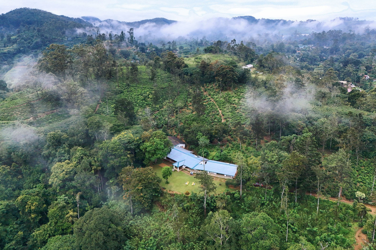 Aerial view 5, The 6th Milepost Tea Bungalow Bandarawela, Bandarawela