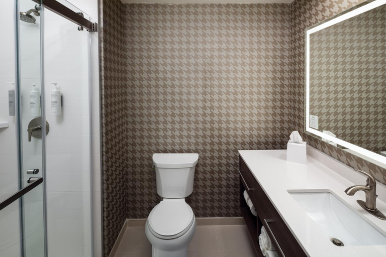 Bathroom, Home2 Suites by Hilton San Jose South, Santa Clara