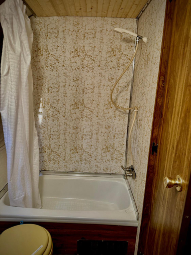Bathroom 4, Starlite Vintage Resort, Fremont
