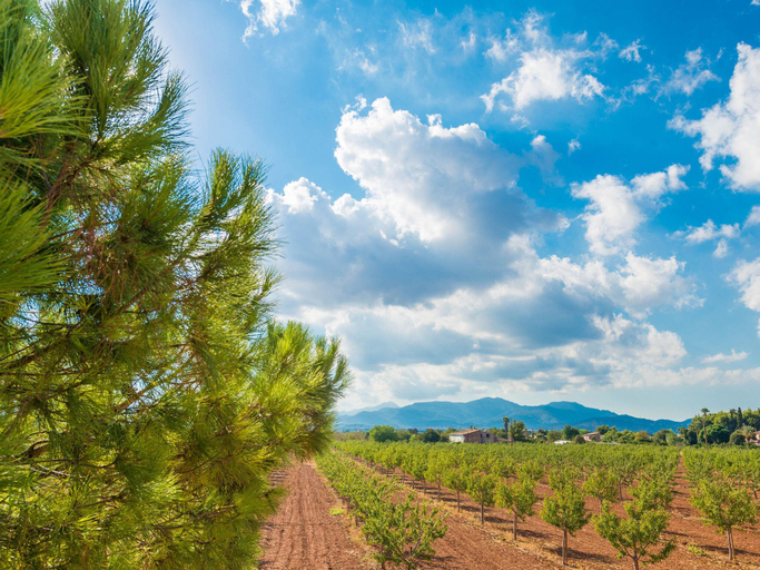 Others 5, Villa Zoe , Baleares