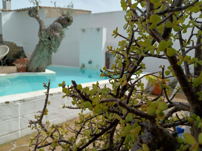 Sport & Beauty 2, Estrela do Corval, Reguengos de Monsaraz