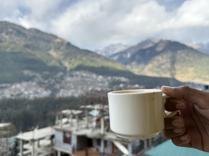 Balcony view 4, Trippeaze stays, Kullu