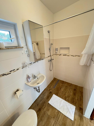 Bathroom 3, Asiatisches Landhaus, Saalekreis