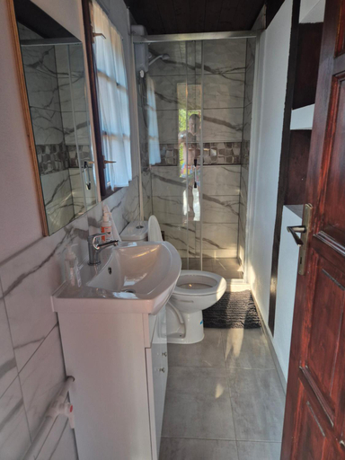 Bathroom 3, pensiunea carul mare, Rasinari