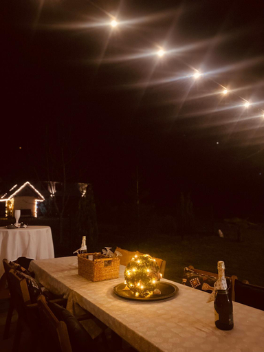 Food & Drinks 4, Rooms & Apartment ZALA Near Airport & Cable Car, Cerklje na Gorenjskem