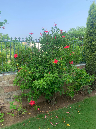 Others 1, IT City Luxe Homestay-Secure & Comfortable Stay in Mohali, Sahibzada Ajit Singh Nagar