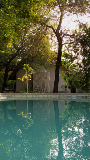 Sport & Beauty 5, Leopard's Lair Bush Lodge, Mopani