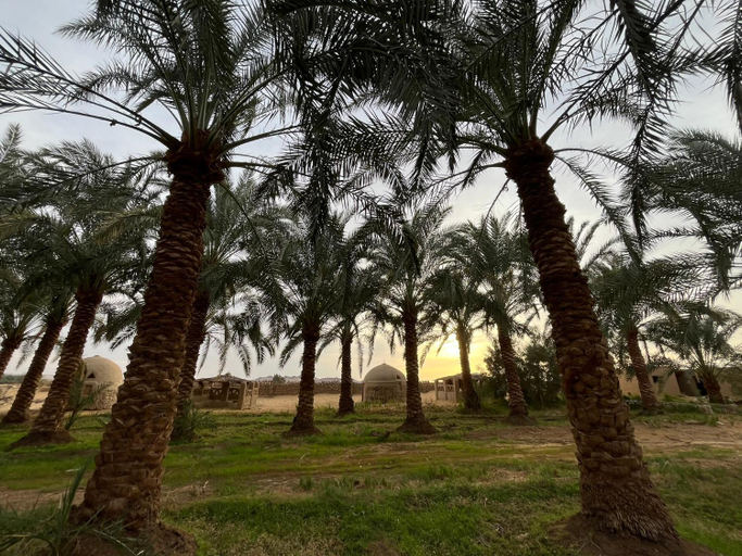 View, The Garden Under The Moon, Unorganized in Al Jizah