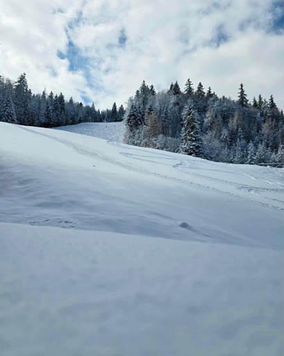 Surrounding environment