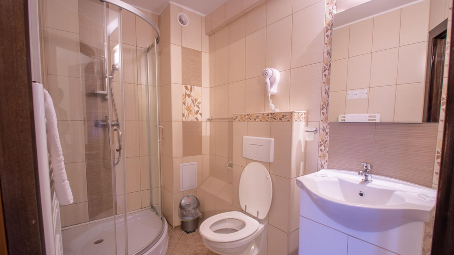 Others 5, Vila Inn Hermannstadt, Sibiu