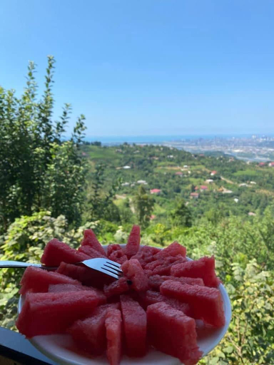 Food & Drinks 5, chemi kera Chalet, Batumi