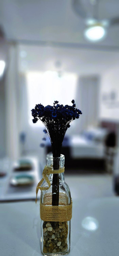 Food & Drinks 5, Copacabana Vibes Studios, Rio de Janeiro
