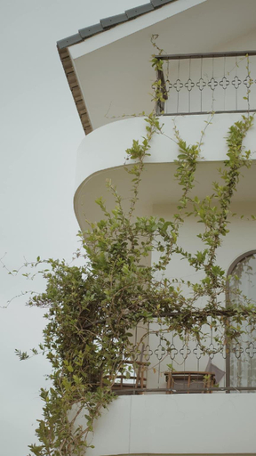 Exterior & Views 1, He Maison Boutique Stay & cafe, Đà Lạt