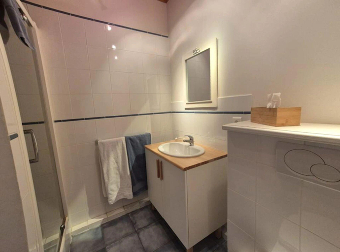 Bathroom 5, Le Tilleul de Ray, Haute-Saône