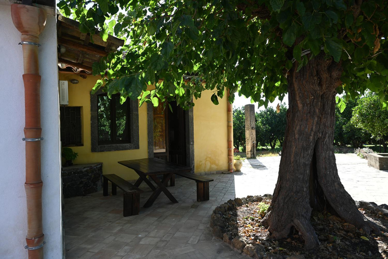 2, Agriturismo Gli Aranci dell'Etna, Catania