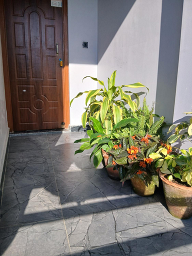Others 3, JAP Guest House & Apartments, Gandaki