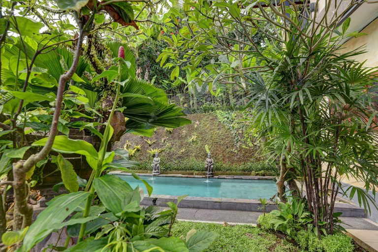 Others 4, Pondok Tiying Ampel Ubud, Gianyar