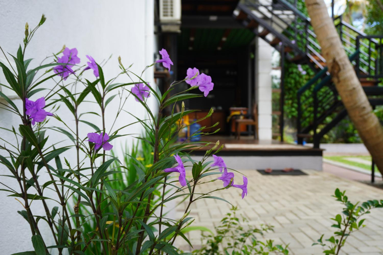 Others 5, Green Earth Resort, Dambulla