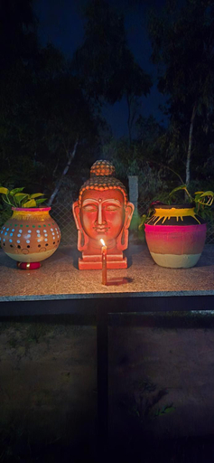 Food & Drinks 5, WoodPacker Hostel Auroville Pondicherry, Viluppuram