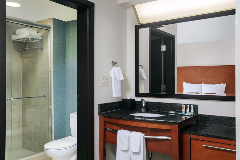 Bathroom 4, Hyatt Place Raleigh/Cary, Wake