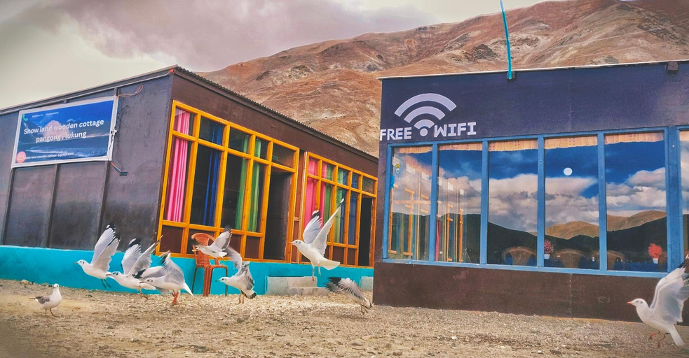 Exterior & Views 4, snow land wooden cottage, Leh