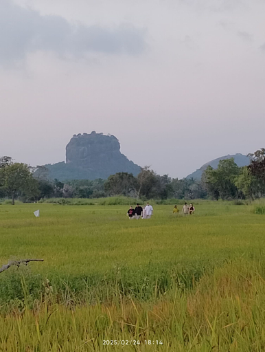 Exterior 5, Near the canal homesty, Dambulla