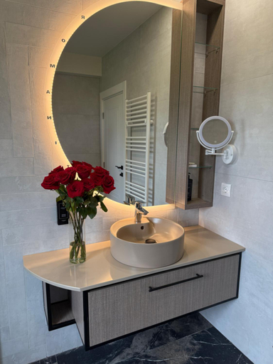 Bathroom 2, Hotel Romanita, Recea