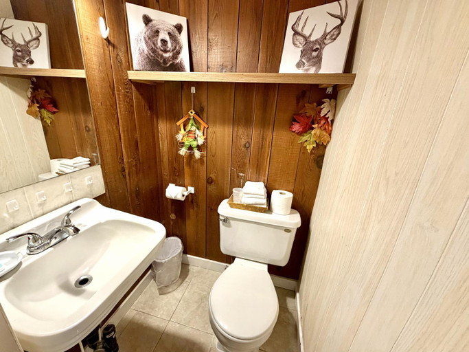 Bathroom 3, Swiss Chalets Motel, Fraser Valley