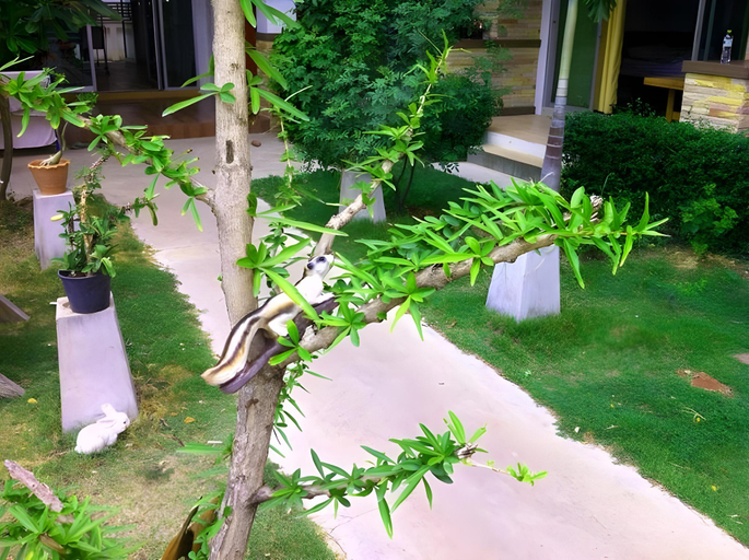 Others 3, Banana Park Hotel, Muang Nakhon Ratchasima