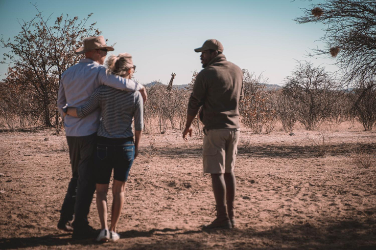 Others 4, Ohorongo Safari Lodge, Kamanjab