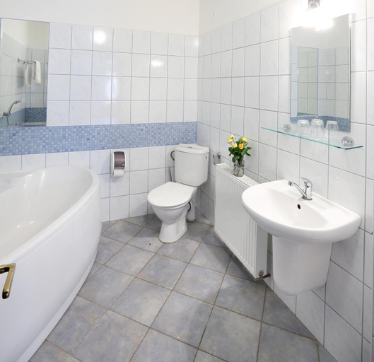 Bathroom 3, Penzion NA 15. POLEDNIKU, Jindřichův Hradec