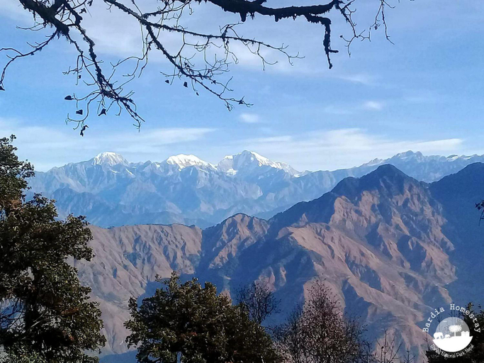 Others 3, Bardia Homestay Pvt. Ltd., Bheri