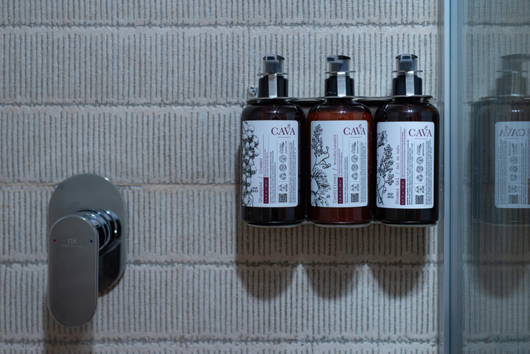 Shower 5, Hotel Boutique Casa Flor de Cafe, Mexico City