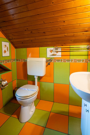 Bathroom 3, Pensiunea Dapa, Predeal