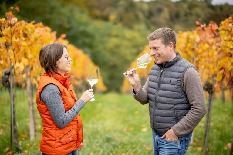 Food & Drinks 2, Weingut Schwarzl, Leibnitz