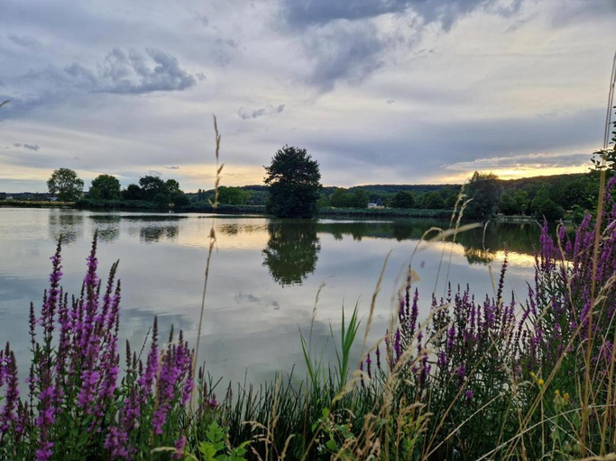 Others 4, Le Bailli de Montsaugeon, Haute-Marne