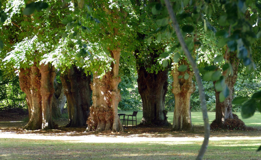 Others 2, Lerbæk Hovedgaard, Frederikshavn