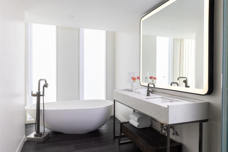 Bathroom 3, Hyatt Centric Congress Avenue Austin, Travis