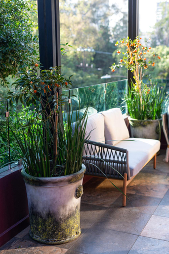 Balcony/terrace, Hotel Boutique Casa Flor de Cafe, Mexico City