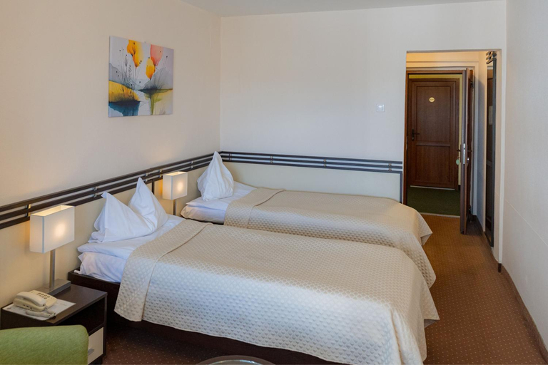 Bedroom 3, Hotel Poienita, Sanmartin
