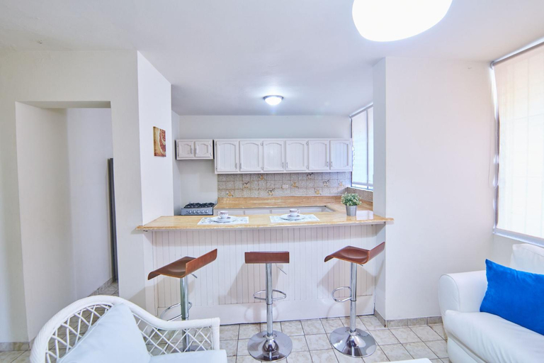 Kitchen 5, A Beautiful Studio Apartments Furnished in Gascue, Distrito Nacional