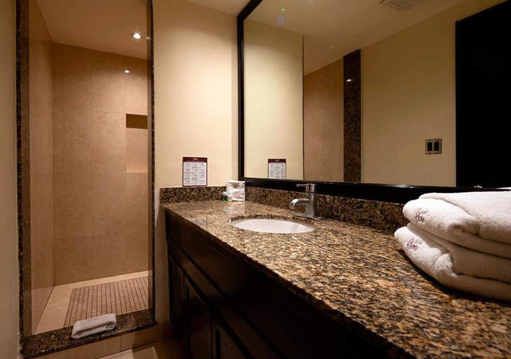 Shower 2, Motel Olimpo, Mexicali