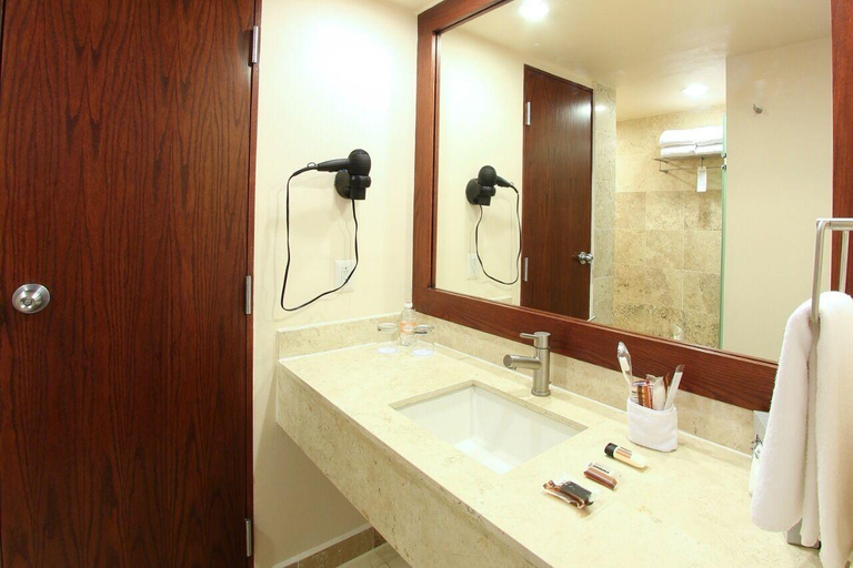 Bathroom, Fiesta Inn Toluca Aeropuerto, Temoaya