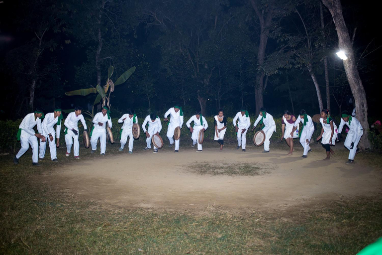 Others 3, Temple Tiger Green Jungle Resort, Lumbini
