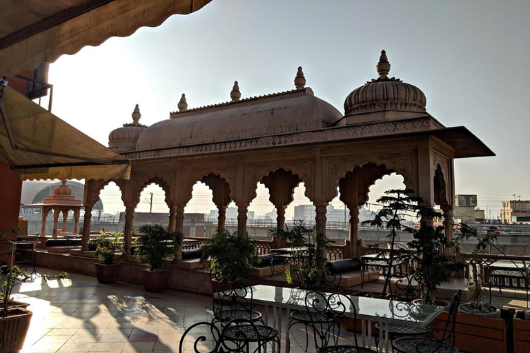 Others 5, Gypsy Monkey, Jaipur